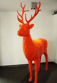 GREY Hirsch